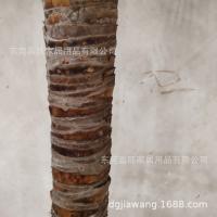 uploads/erp/collection/images/Home Garden/dgjiawang/XU0612736/img_b/XU0612736_img_b_4